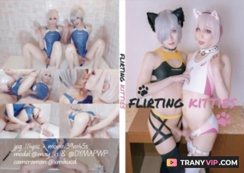 Flirting Kitties [FullHD 1080p]