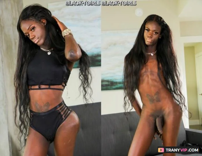 [Black-TGirls.com] Skinny But Plenty [HD 720p] Skinny But Plenty