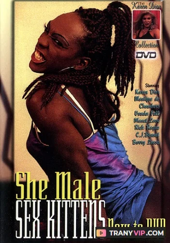 She-Male Sex Kittens - Classic Trans Compilation Film download on TranyVIP